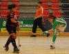 Foto Albert Clavé (http://cerdanyolach.cat/hoqueipatins/)